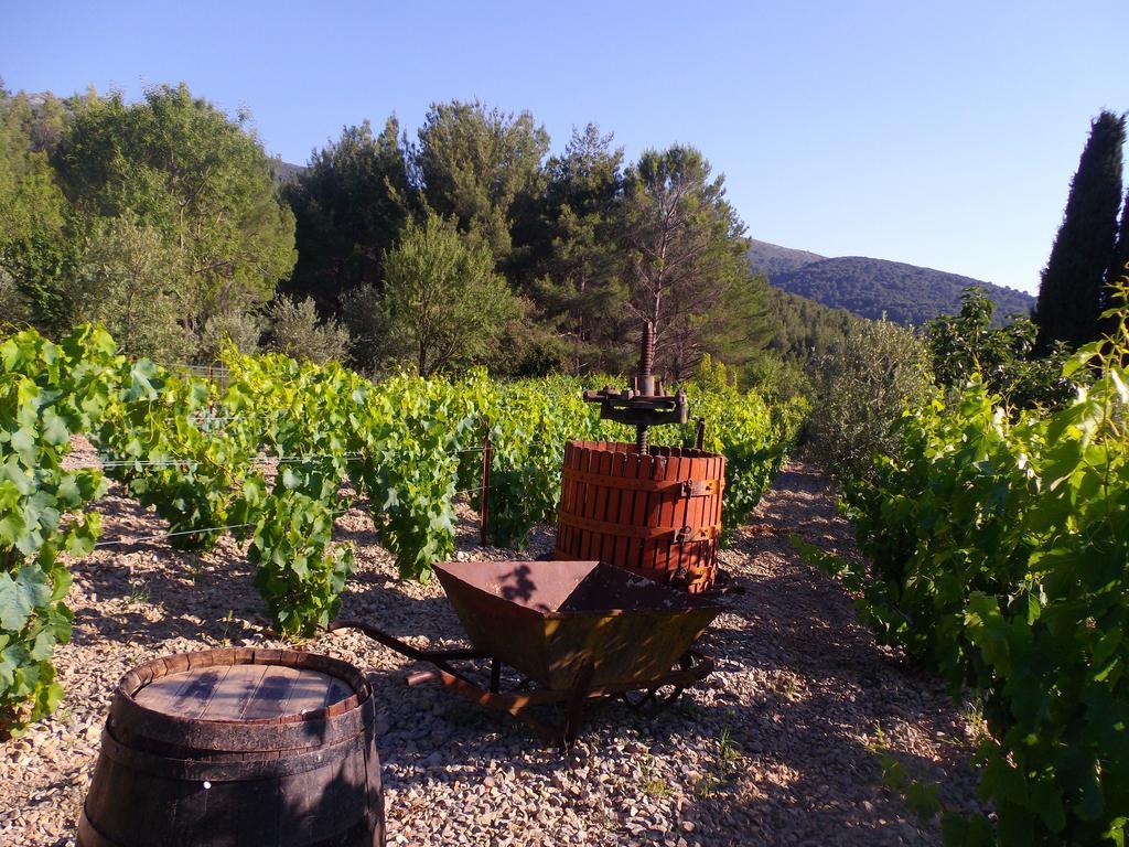 Au Havre De Paix Sainte Victoire Vauvenargues Hotell Exteriör bild